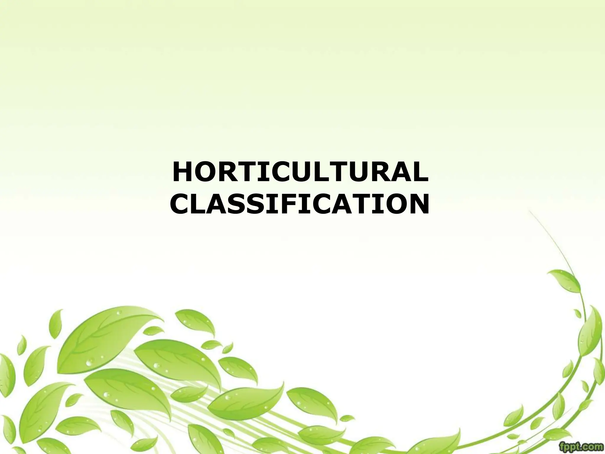 HORTICULTURAL
CLASSIFICATION
 