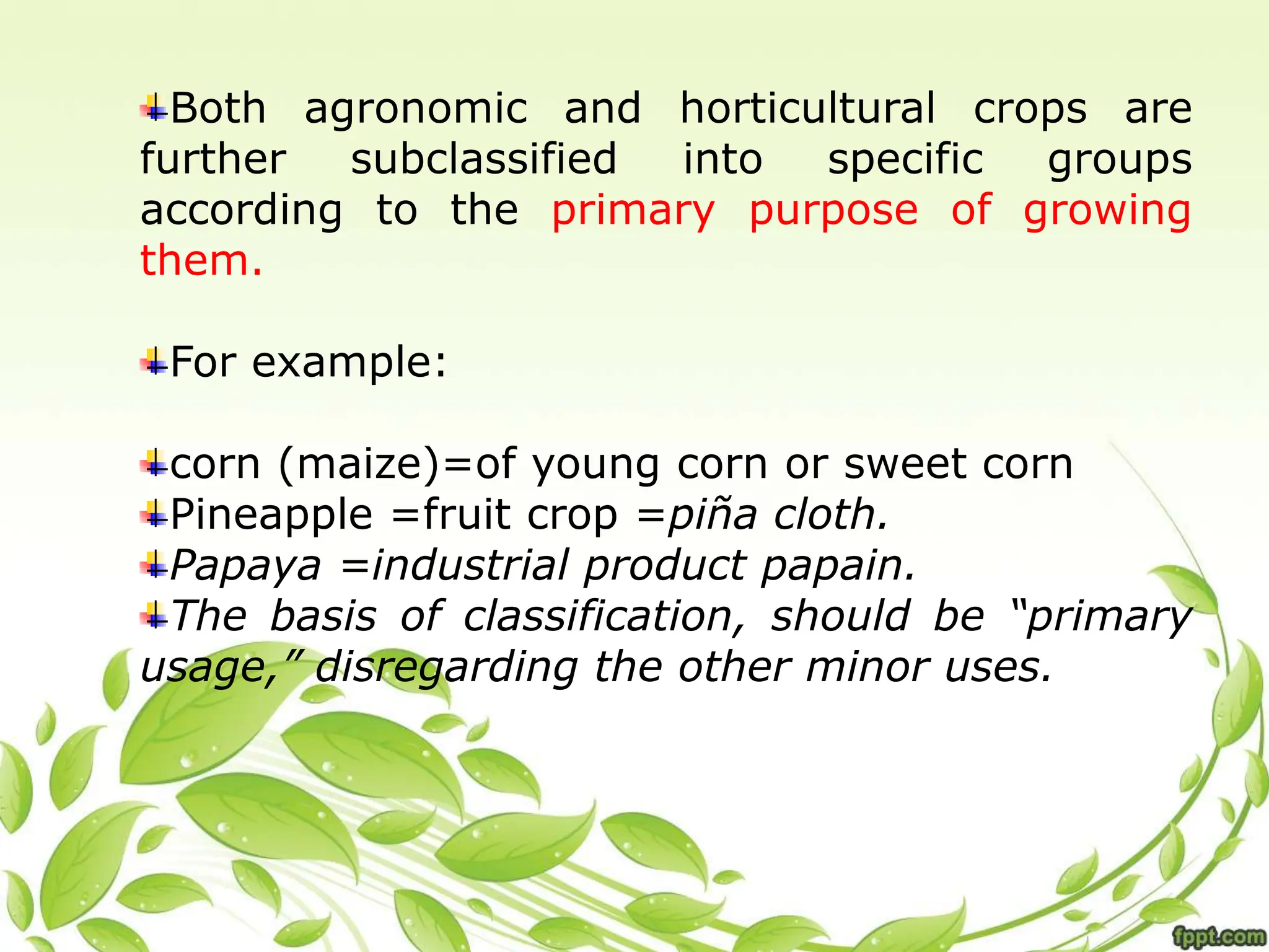 Both agronomic and horticultural crops are
further subclassified into specific groups
according to the primary purpose of growing
them.
For example:
corn (maize)=of young corn or sweet corn
Pineapple =fruit crop =piña cloth.
Papaya =industrial product papain.
The basis of classification, should be “primary
usage,” disregarding the other minor uses.
 