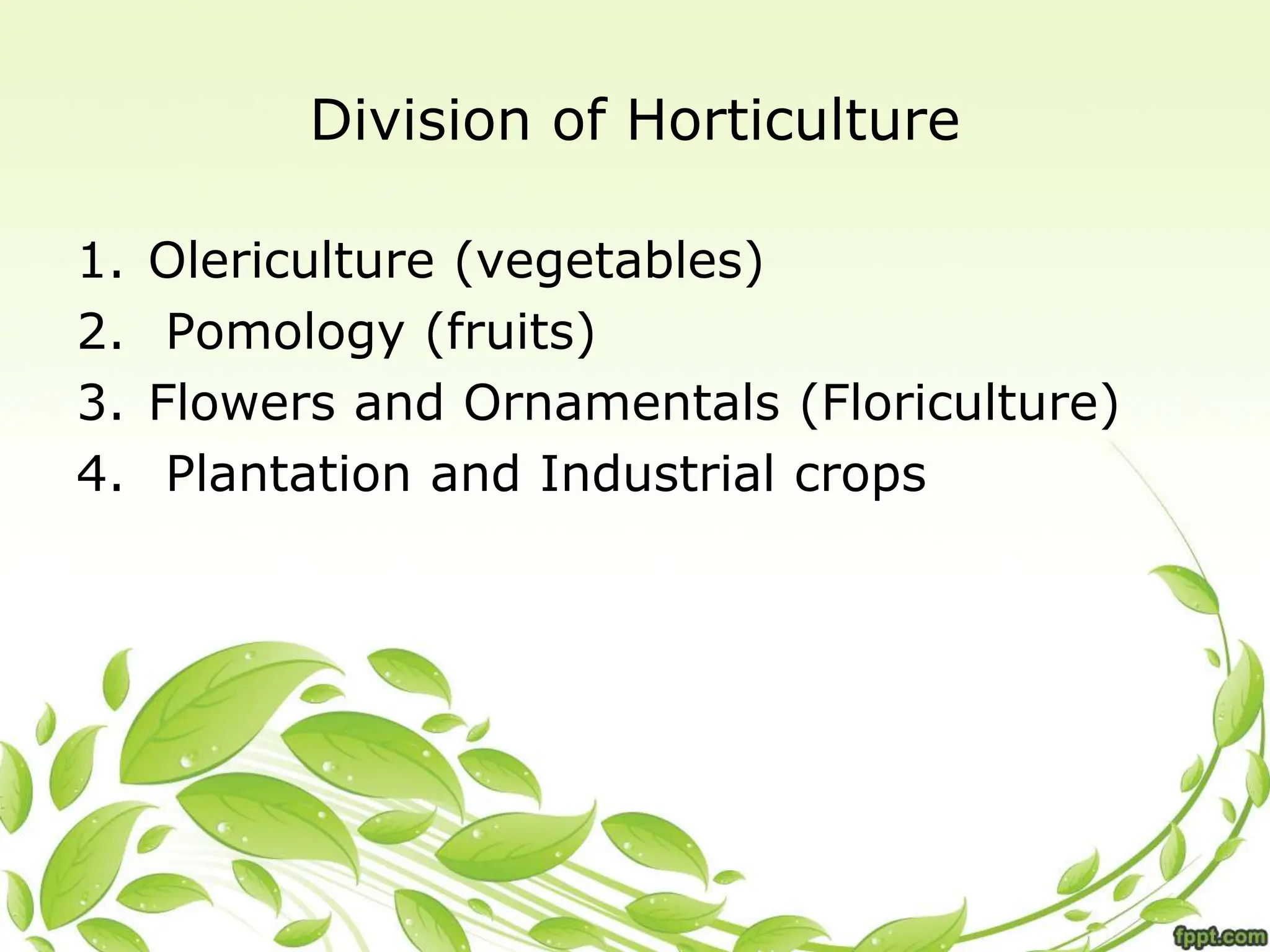 Division of Horticulture
1. Olericulture (vegetables)
2. Pomology (fruits)
3. Flowers and Ornamentals (Floriculture)
4. Plantation and Industrial crops
 