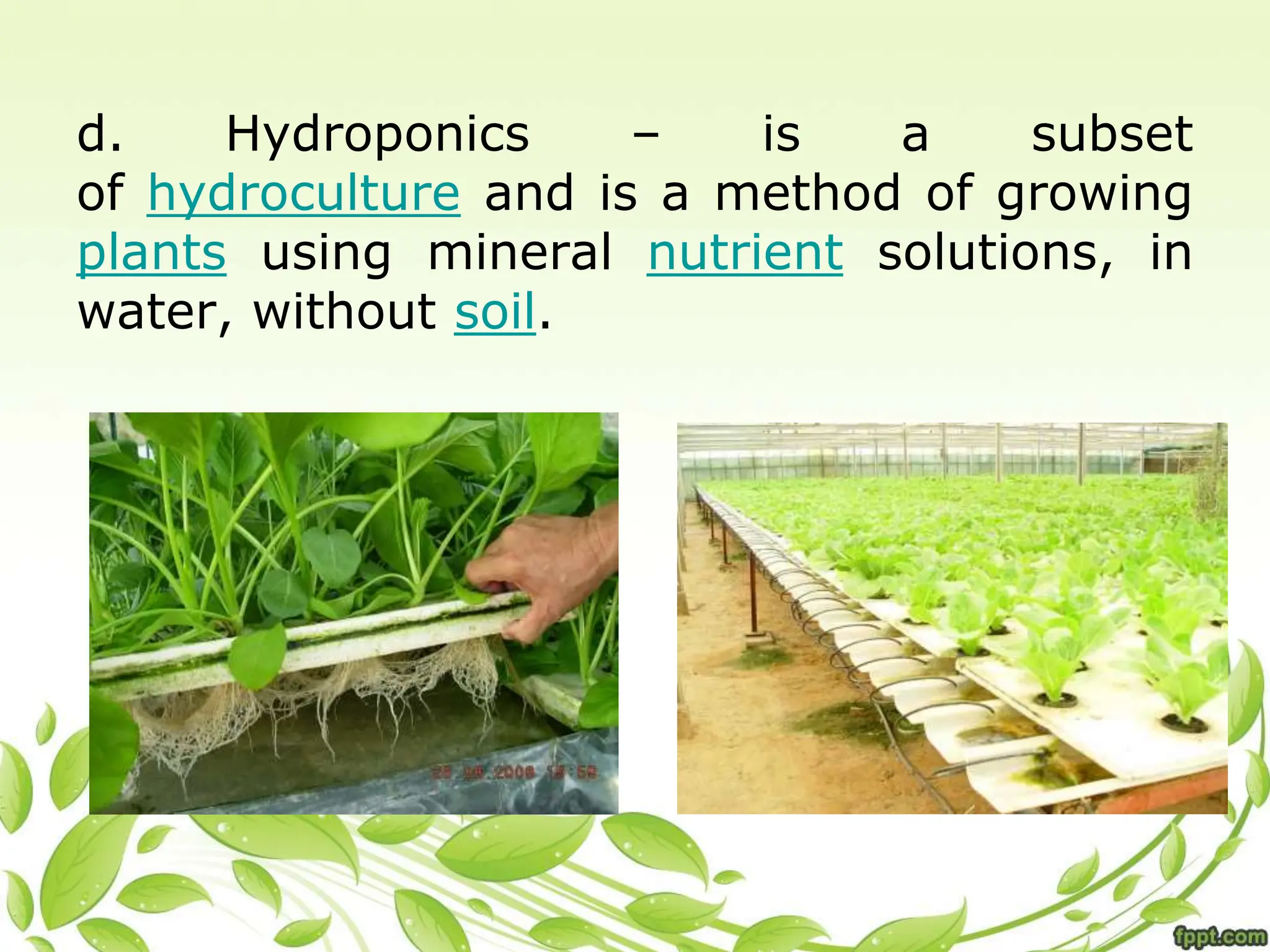 d. Hydroponics – is a subset
of hydroculture and is a method of growing
plants using mineral nutrient solutions, in
water, without soil.
 