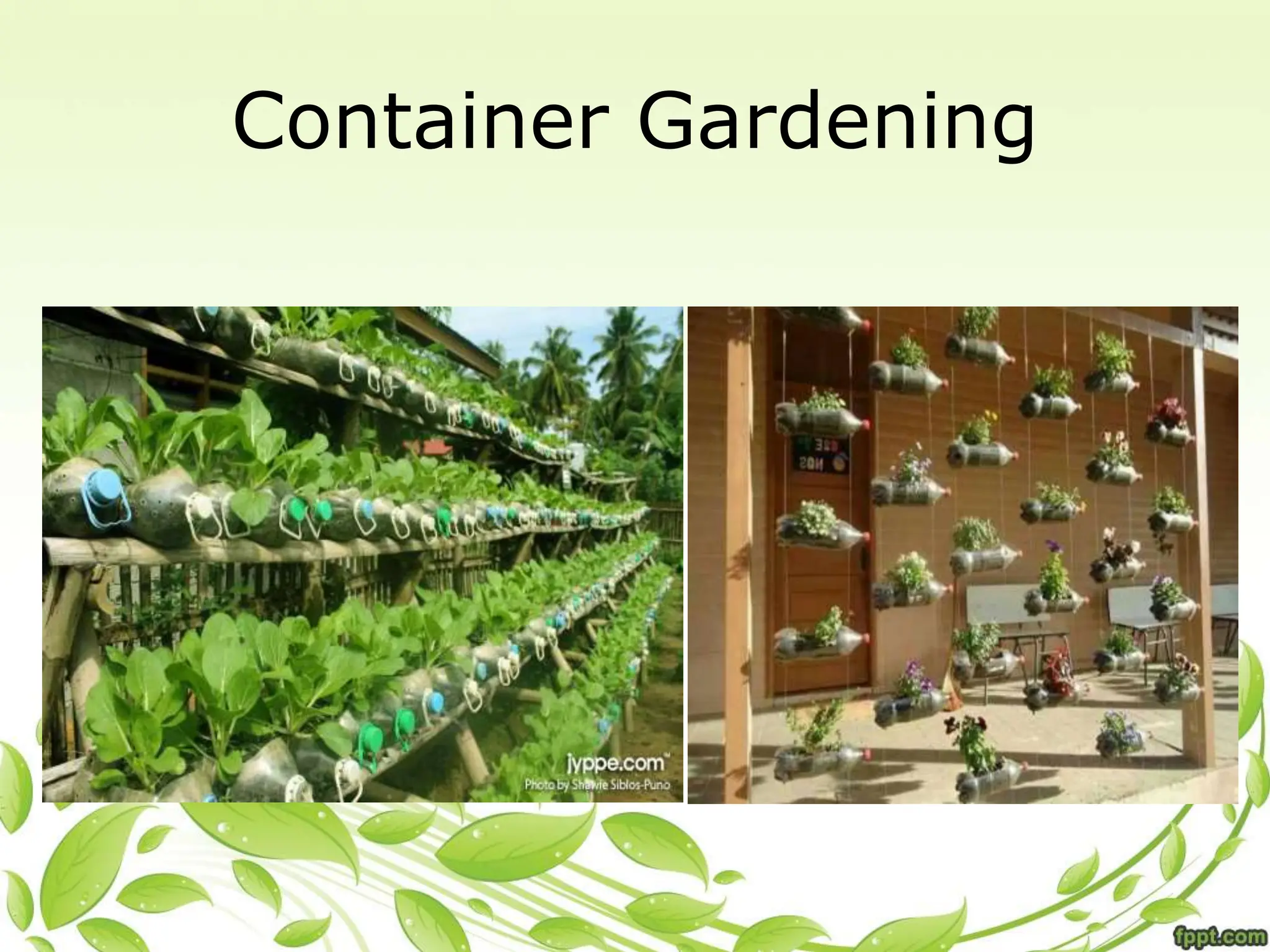 Container Gardening
 