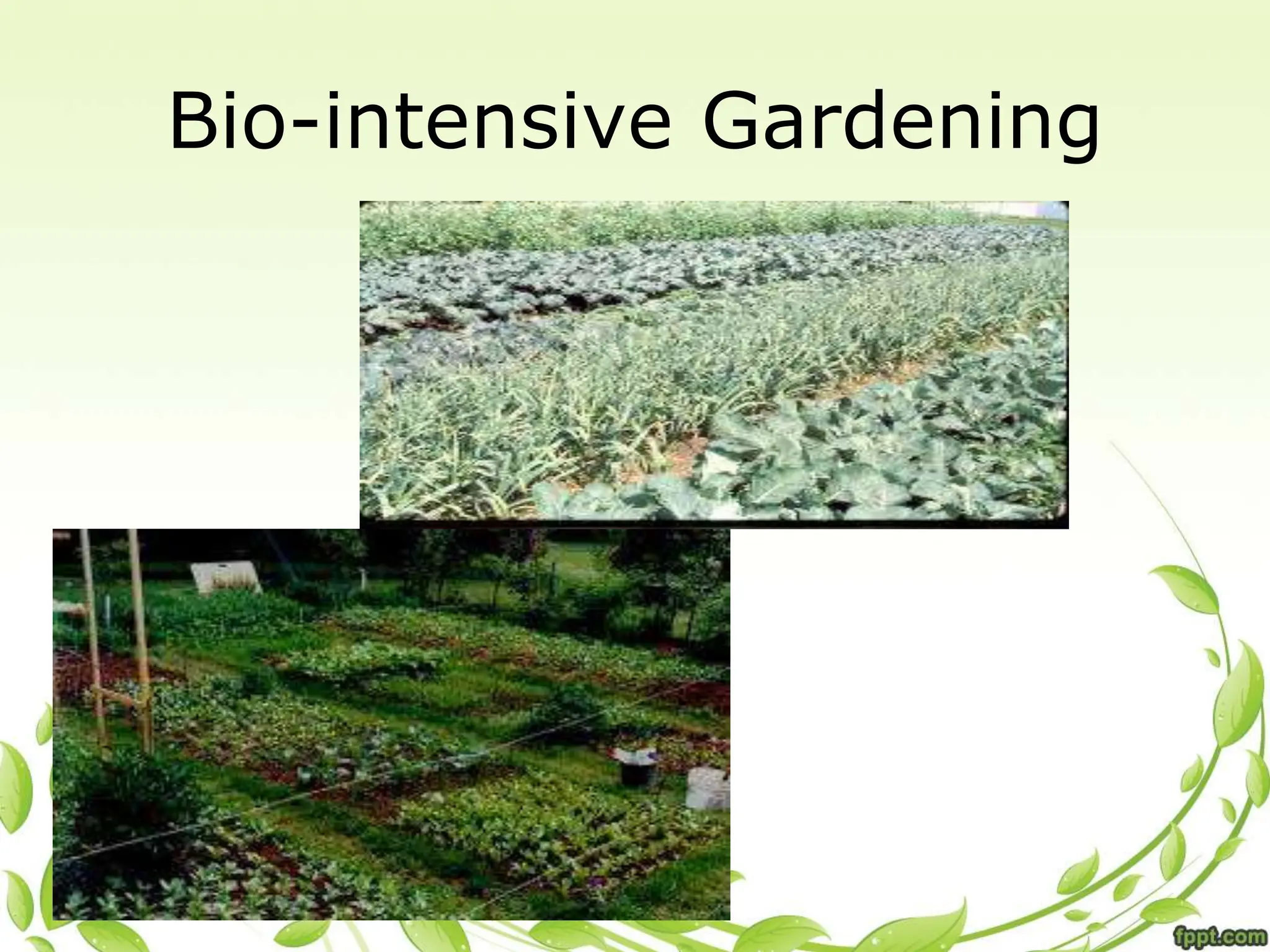 Bio-intensive Gardening
 