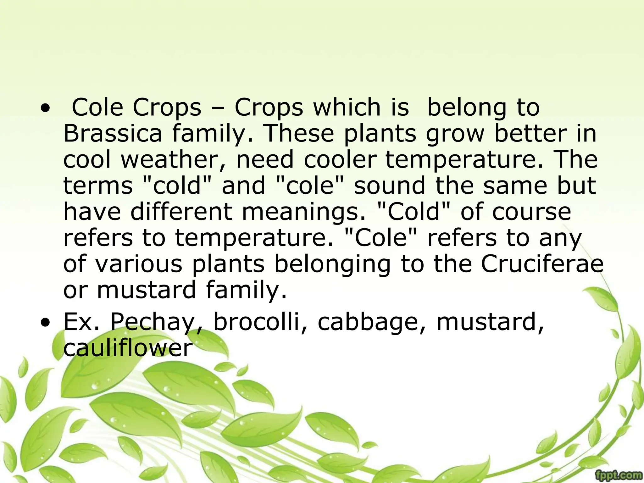 • Cole Crops – Crops which is belong to
Brassica family. These plants grow better in
cool weather, need cooler temperature. The
terms "cold" and "cole" sound the same but
have different meanings. "Cold" of course
refers to temperature. "Cole" refers to any
of various plants belonging to the Cruciferae
or mustard family.
• Ex. Pechay, brocolli, cabbage, mustard,
cauliflower
 