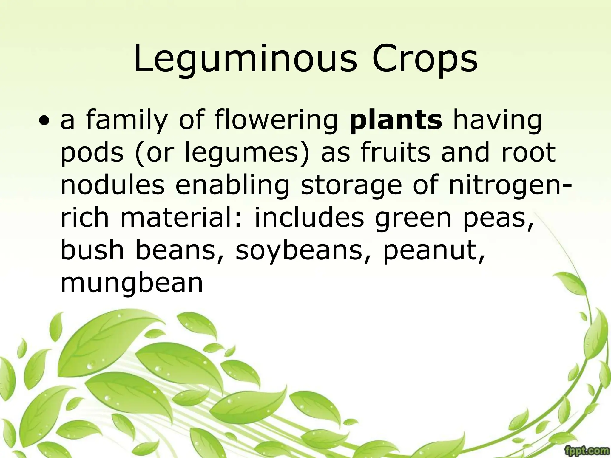 • a family of flowering plants having
pods (or legumes) as fruits and root
nodules enabling storage of nitrogen-
rich material: includes green peas,
bush beans, soybeans, peanut,
mungbean
Leguminous Crops
 
