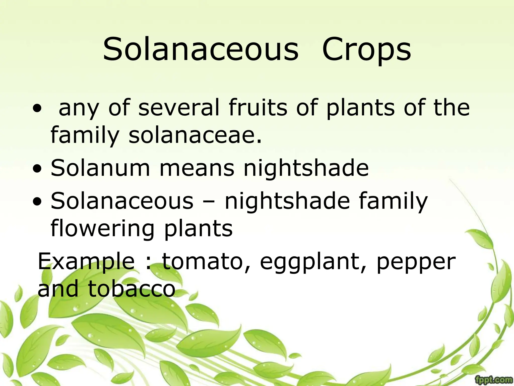 • any of several fruits of plants of the
family solanaceae.
• Solanum means nightshade
• Solanaceous – nightshade family
flowering plants
Example : tomato, eggplant, pepper
and tobacco
Solanaceous Crops
 