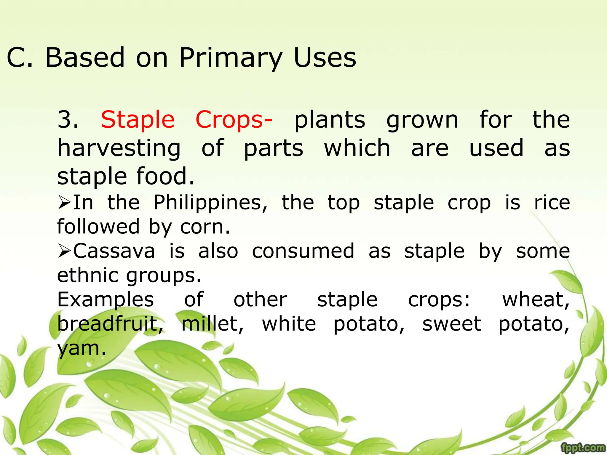 C. Based on Primary Uses
3. Staple Crops- plants grown for the
harvesting of parts which are used as
staple food.
In the Philippines, the top staple crop is rice
followed by corn.
Cassava is also consumed as staple by some
ethnic groups.
Examples of other staple crops: wheat,
breadfruit, millet, white potato, sweet potato,
yam.
 