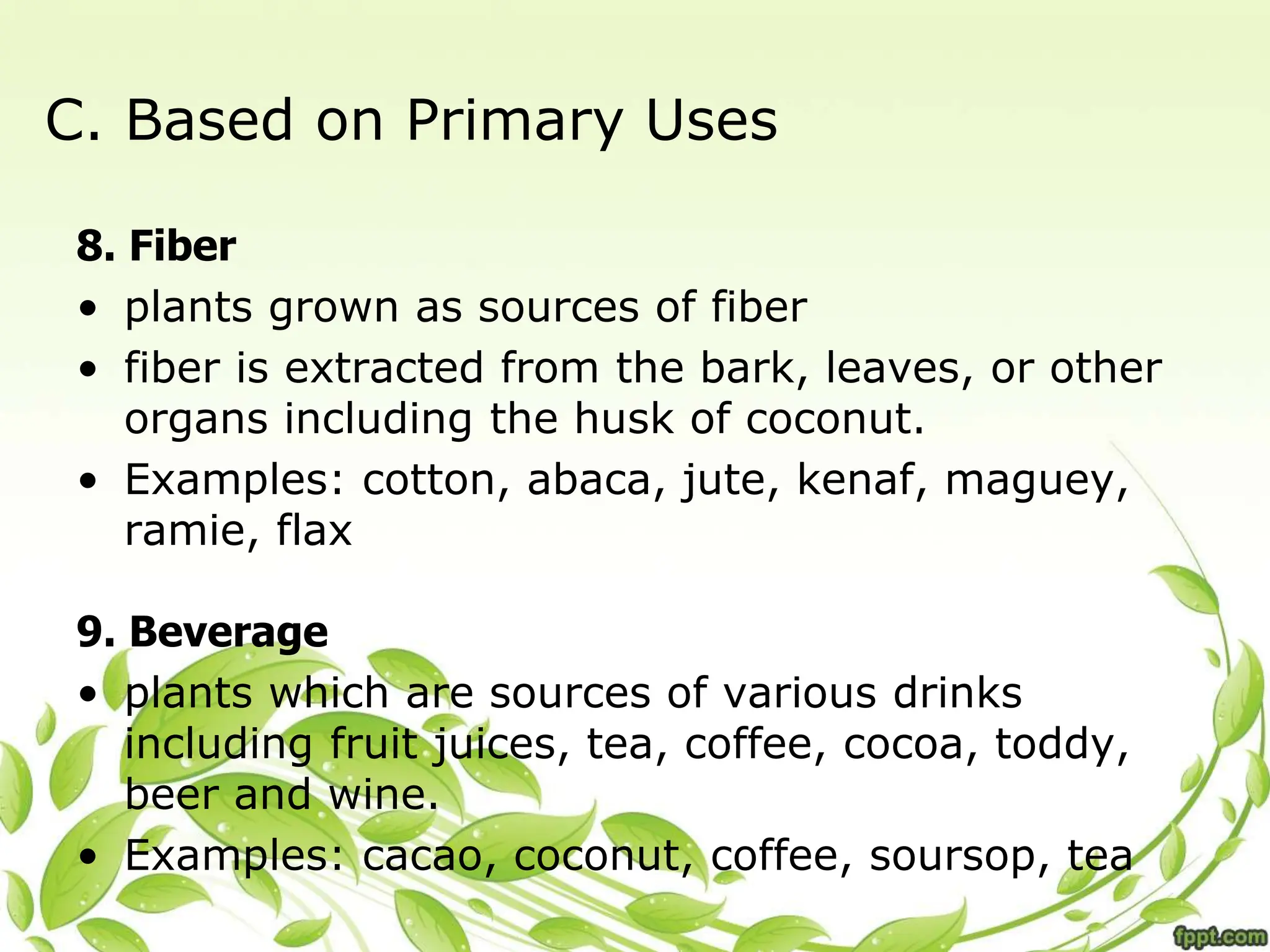 C. Based on Primary Uses
8. Fiber
• plants grown as sources of fiber
• fiber is extracted from the bark, leaves, or other
organs including the husk of coconut.
• Examples: cotton, abaca, jute, kenaf, maguey,
ramie, flax
9. Beverage
• plants which are sources of various drinks
including fruit juices, tea, coffee, cocoa, toddy,
beer and wine.
• Examples: cacao, coconut, coffee, soursop, tea
 