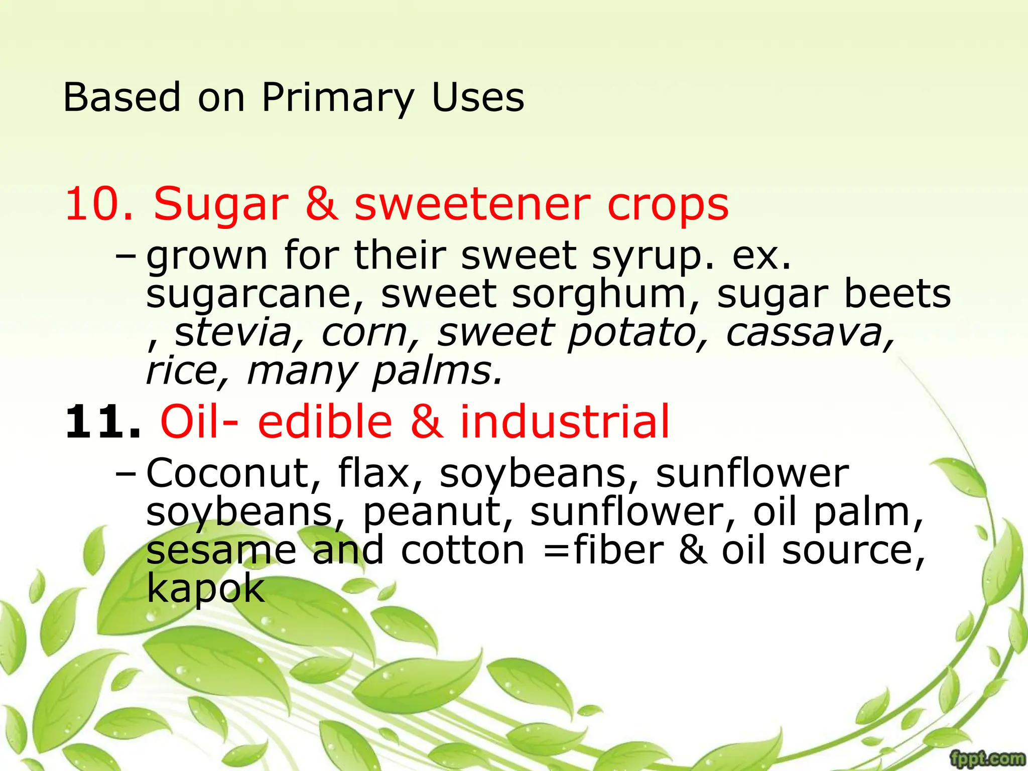 Based on Primary Uses
10. Sugar & sweetener crops
– grown for their sweet syrup. ex.
sugarcane, sweet sorghum, sugar beets
, stevia, corn, sweet potato, cassava,
rice, many palms.
11. Oil- edible & industrial
– Coconut, flax, soybeans, sunflower
soybeans, peanut, sunflower, oil palm,
sesame and cotton =fiber & oil source,
kapok
 
