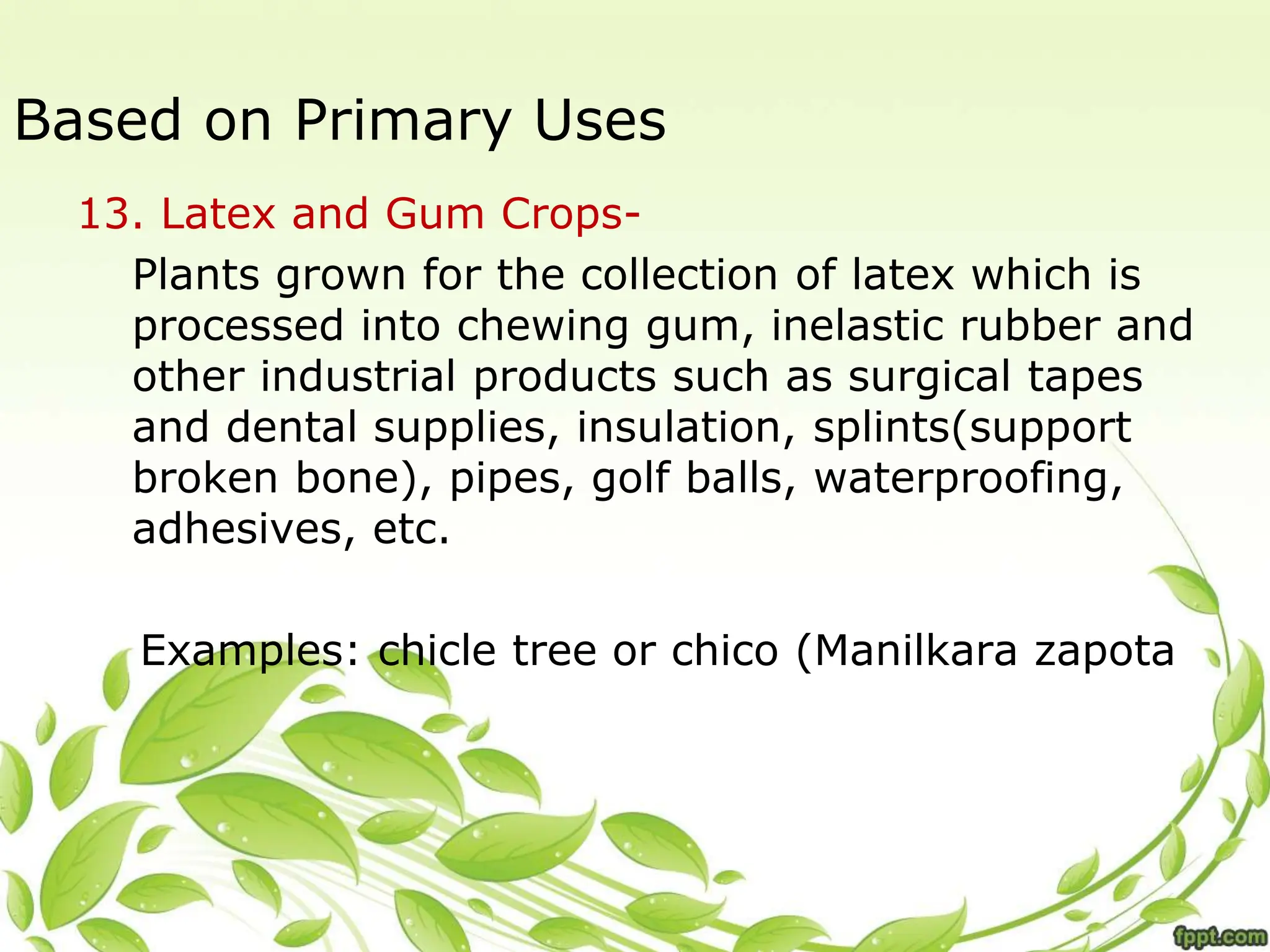 Based on Primary Uses
13. Latex and Gum Crops-
Plants grown for the collection of latex which is
processed into chewing gum, inelastic rubber and
other industrial products such as surgical tapes
and dental supplies, insulation, splints(support
broken bone), pipes, golf balls, waterproofing,
adhesives, etc.
Examples: chicle tree or chico (Manilkara zapota
 