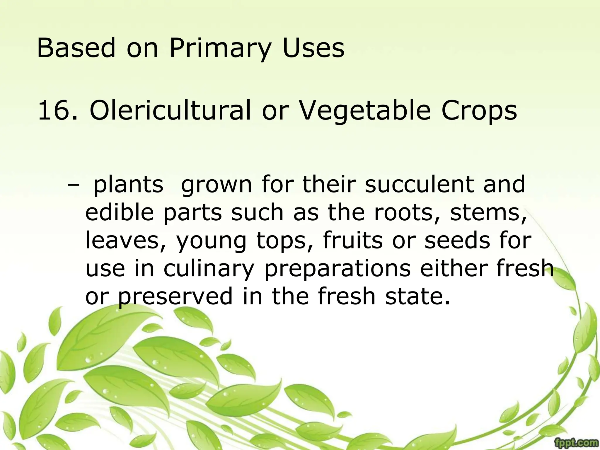 Based on Primary Uses
16. Olericultural or Vegetable Crops
– plants grown for their succulent and
edible parts such as the roots, stems,
leaves, young tops, fruits or seeds for
use in culinary preparations either fresh
or preserved in the fresh state.
 