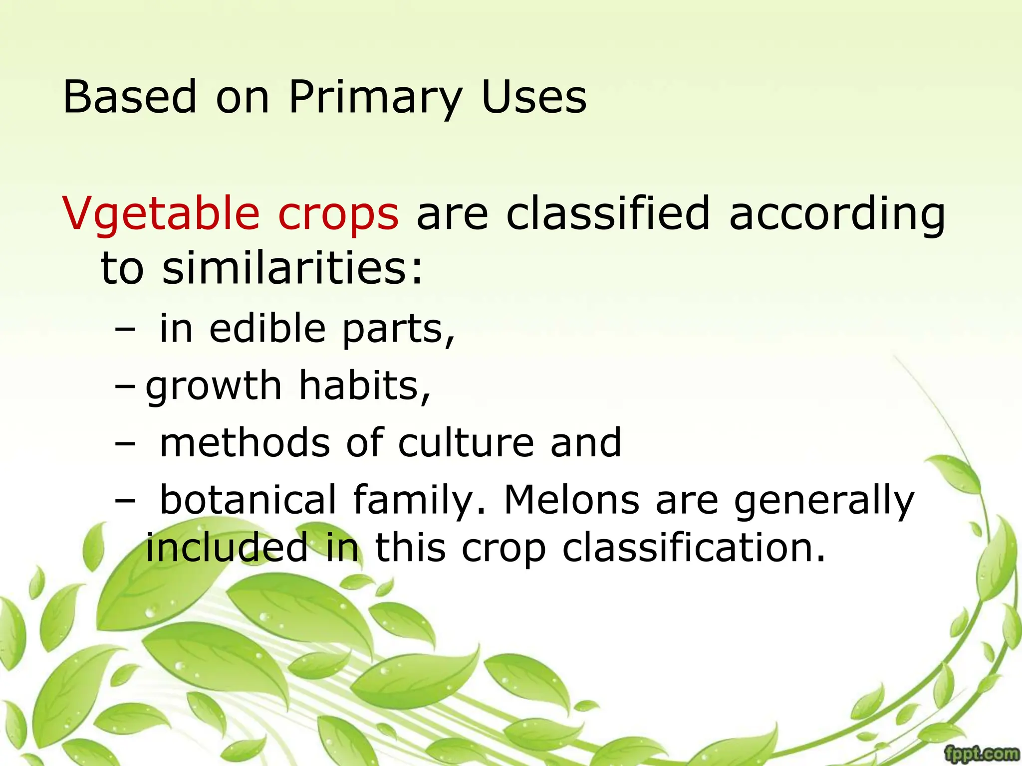 Based on Primary Uses
Vgetable crops are classified according
to similarities:
– in edible parts,
– growth habits,
– methods of culture and
– botanical family. Melons are generally
included in this crop classification.
 