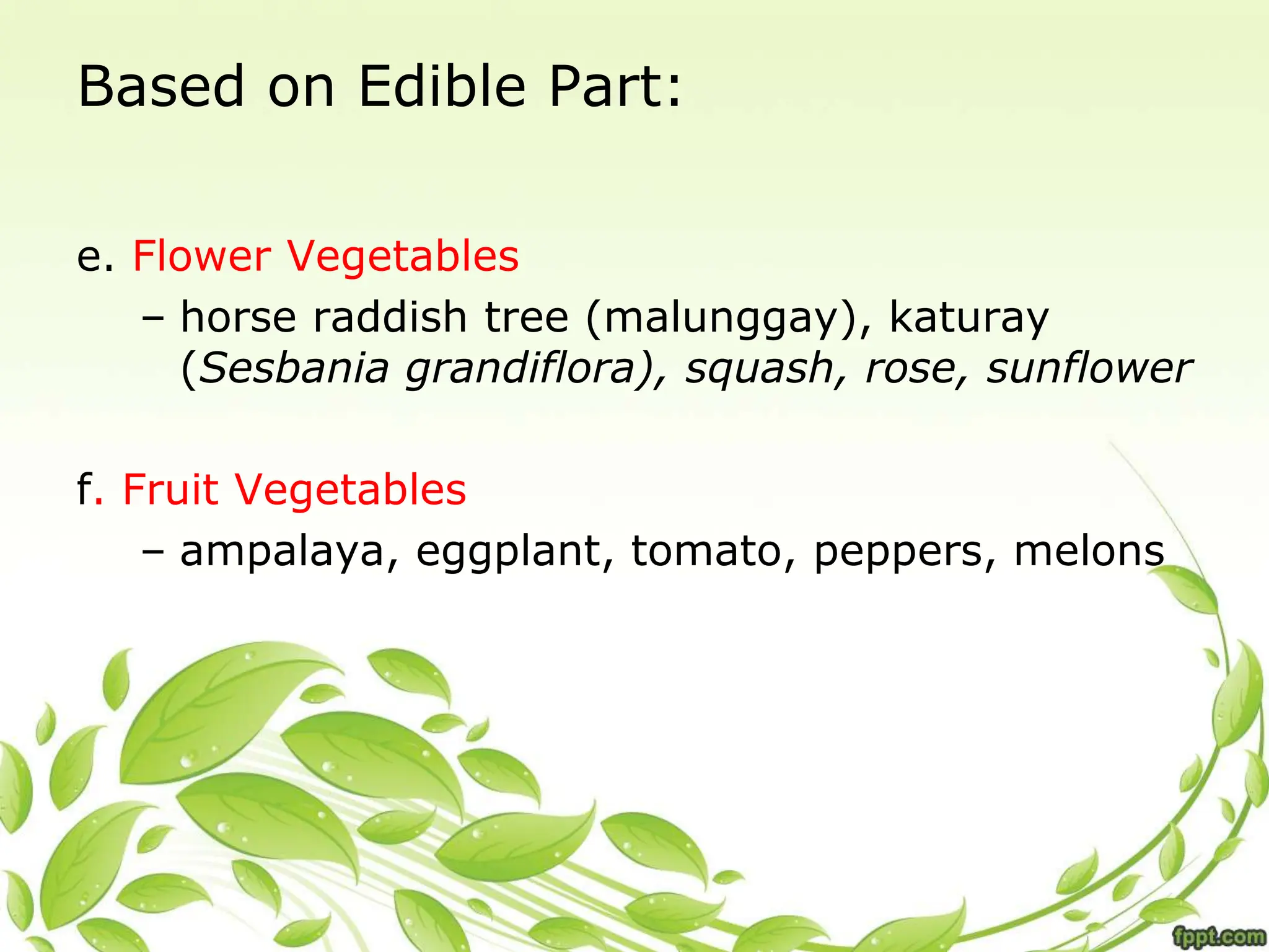 Based on Edible Part:
e. Flower Vegetables
– horse raddish tree (malunggay), katuray
(Sesbania grandiflora), squash, rose, sunflower
f. Fruit Vegetables
– ampalaya, eggplant, tomato, peppers, melons
 
