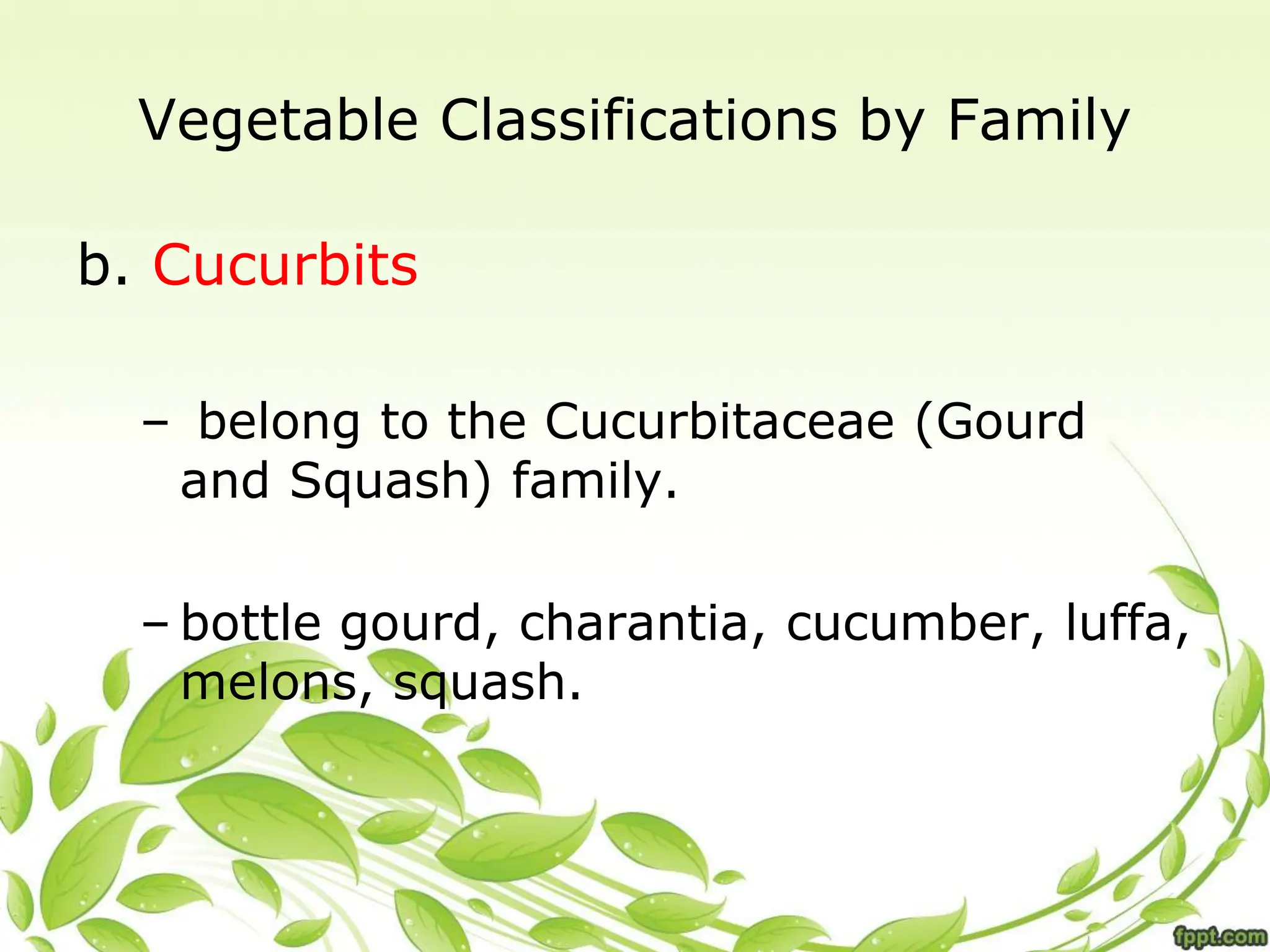 Vegetable Classifications by Family
b. Cucurbits
– belong to the Cucurbitaceae (Gourd
and Squash) family.
– bottle gourd, charantia, cucumber, luffa,
melons, squash.
 