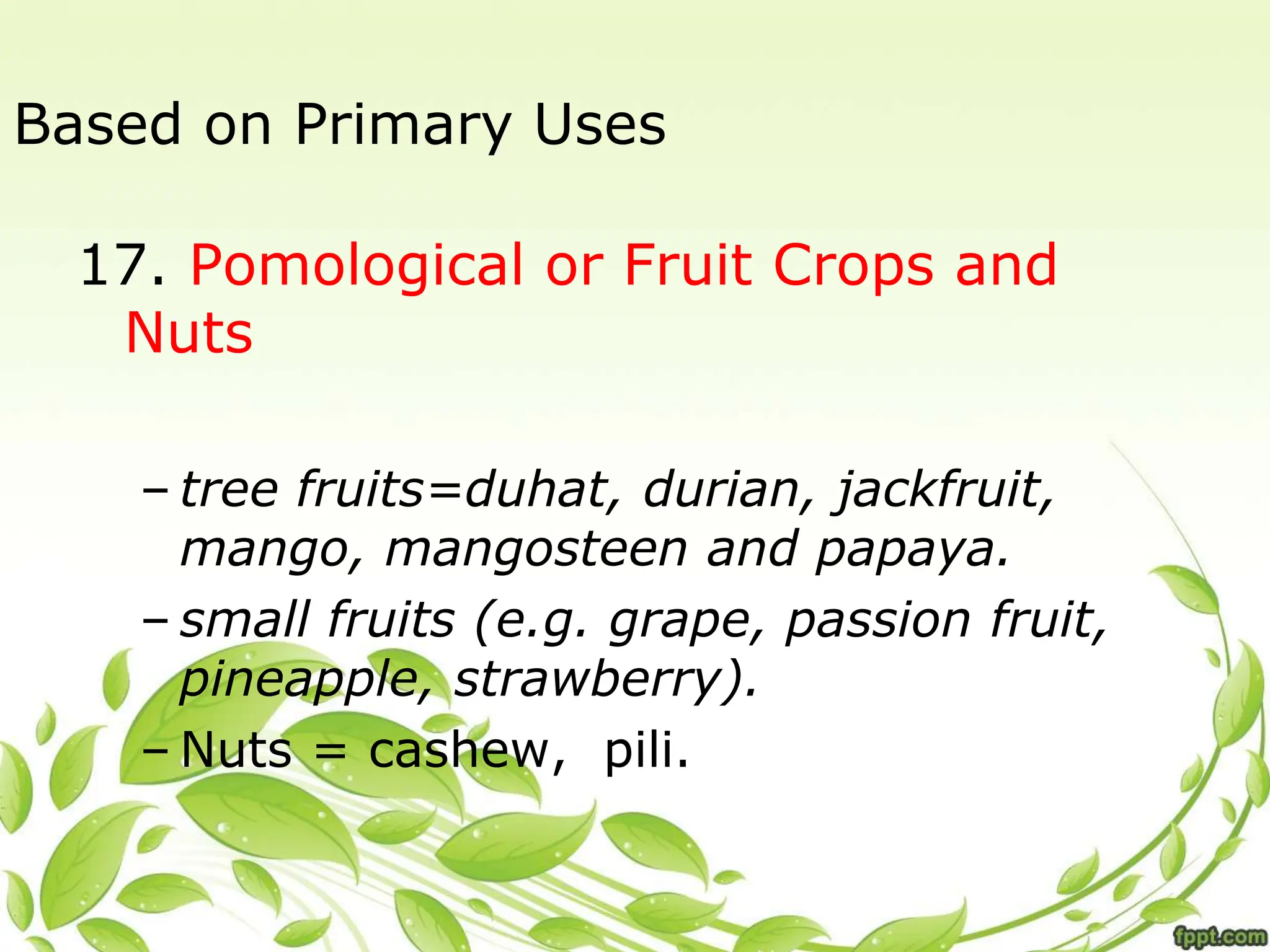 Based on Primary Uses
17. Pomological or Fruit Crops and
Nuts
– tree fruits=duhat, durian, jackfruit,
mango, mangosteen and papaya.
– small fruits (e.g. grape, passion fruit,
pineapple, strawberry).
– Nuts = cashew, pili.
 