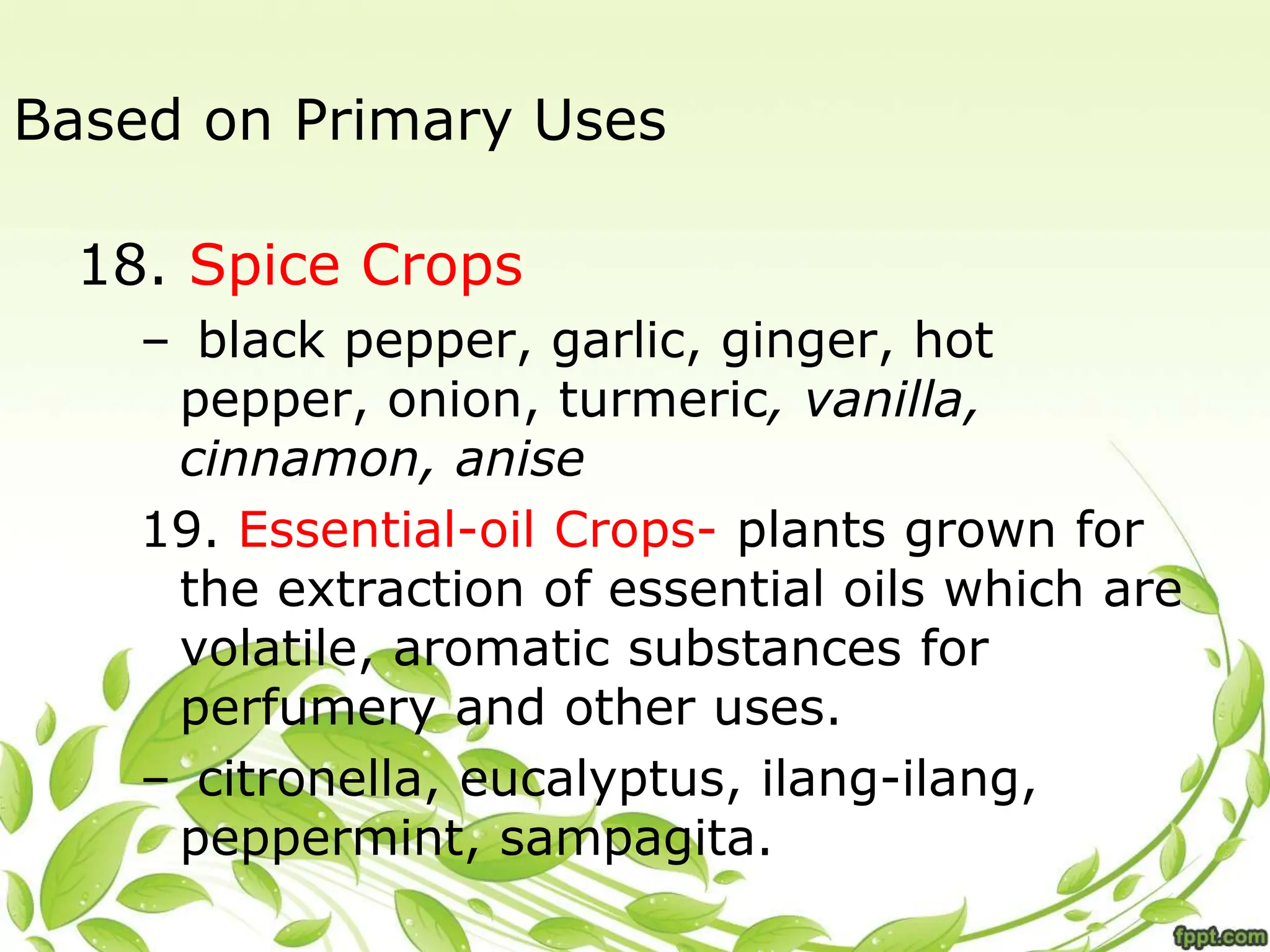 Based on Primary Uses
18. Spice Crops
– black pepper, garlic, ginger, hot
pepper, onion, turmeric, vanilla,
cinnamon, anise
19. Essential-oil Crops- plants grown for
the extraction of essential oils which are
volatile, aromatic substances for
perfumery and other uses.
– citronella, eucalyptus, ilang-ilang,
peppermint, sampagita.
 