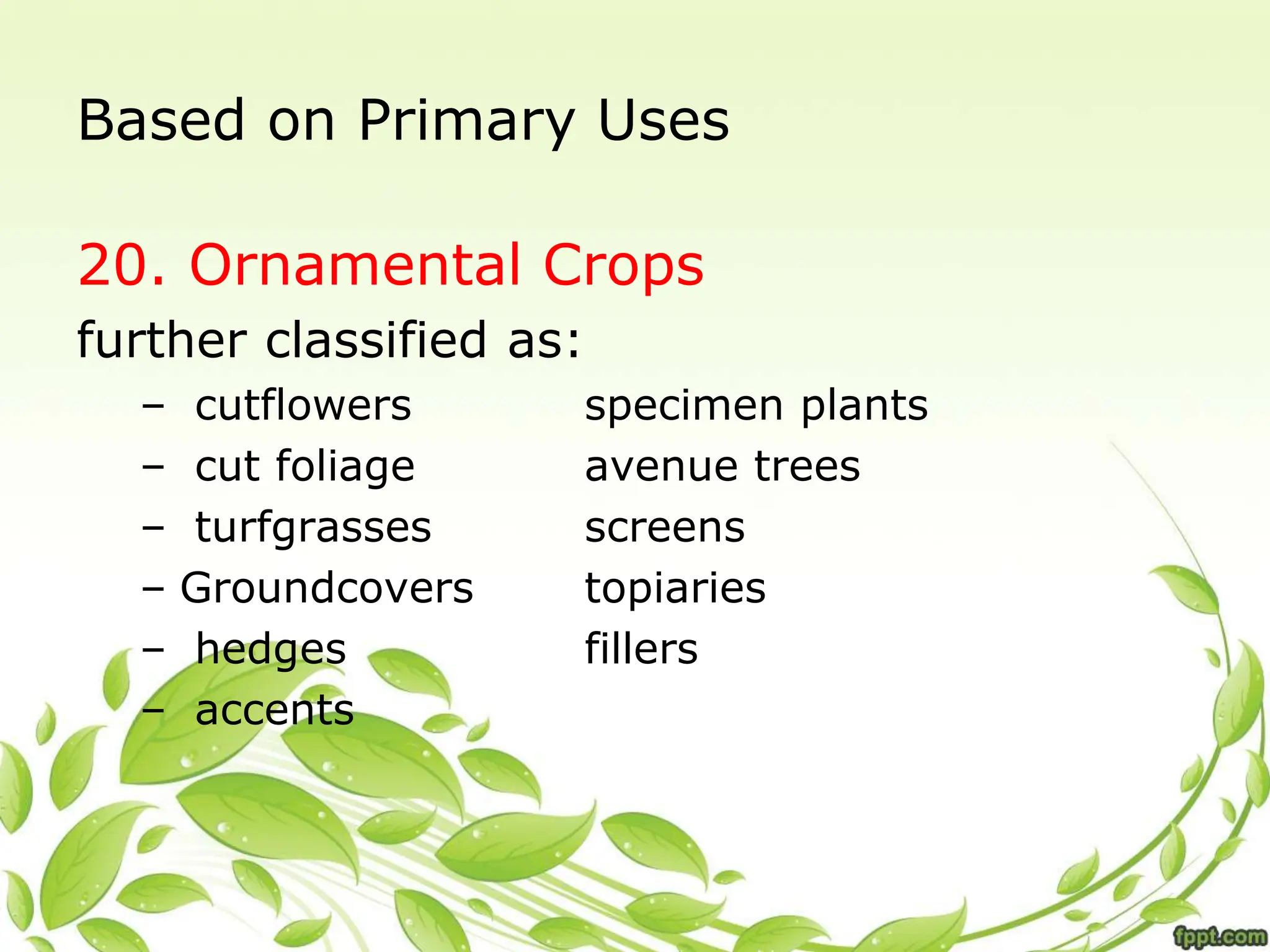 Based on Primary Uses
20. Ornamental Crops
further classified as:
– cutflowers specimen plants
– cut foliage avenue trees
– turfgrasses screens
– Groundcovers topiaries
– hedges fillers
– accents
 