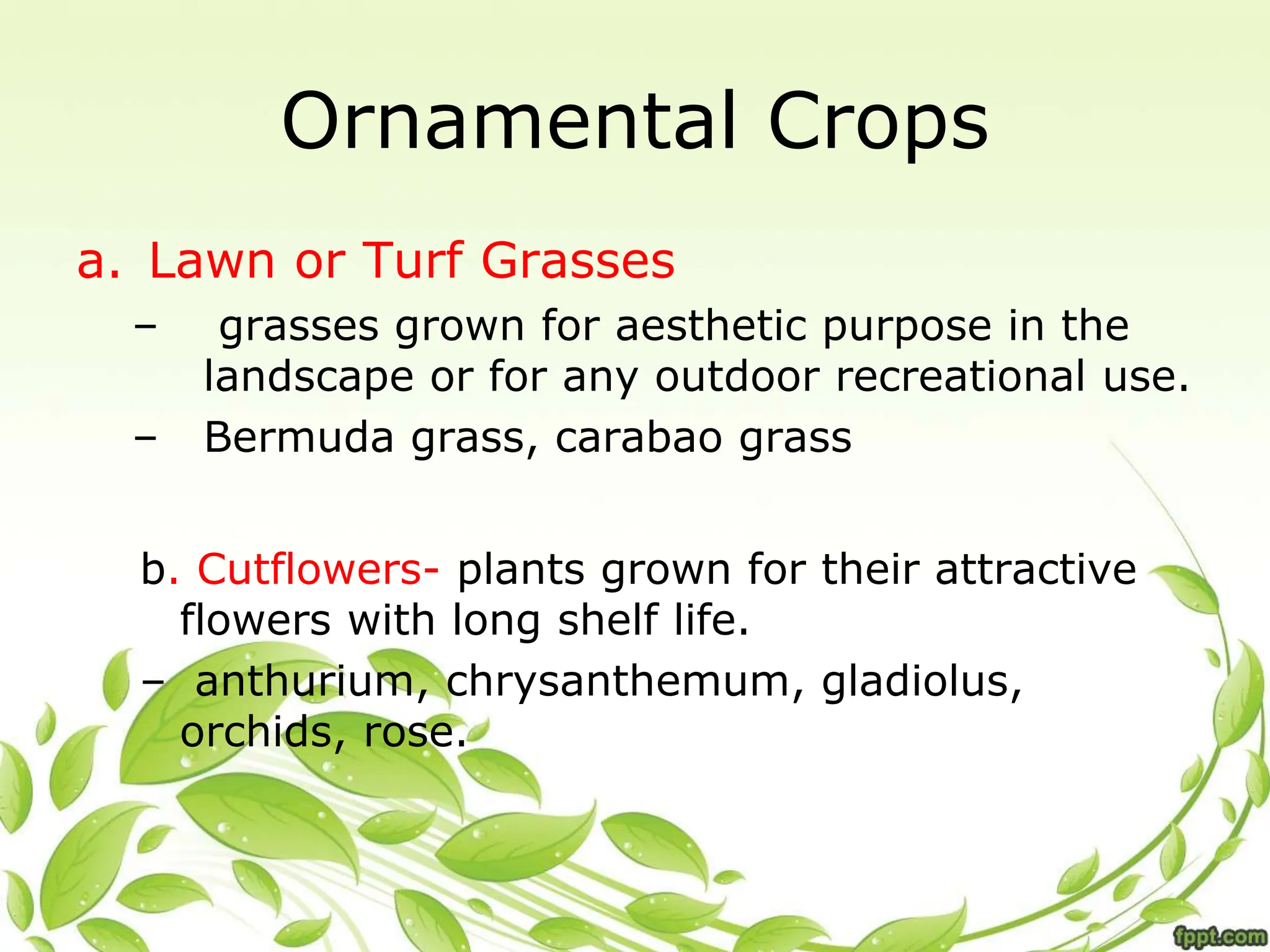 Ornamental Crops
a. Lawn or Turf Grasses
– grasses grown for aesthetic purpose in the
landscape or for any outdoor recreational use.
– Bermuda grass, carabao grass
b. Cutflowers- plants grown for their attractive
flowers with long shelf life.
– anthurium, chrysanthemum, gladiolus,
orchids, rose.
 