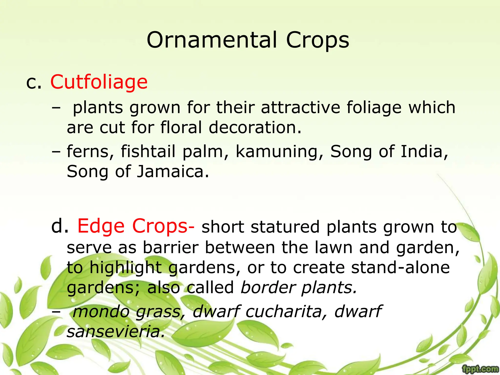 Ornamental Crops
c. Cutfoliage
– plants grown for their attractive foliage which
are cut for floral decoration.
– ferns, fishtail palm, kamuning, Song of India,
Song of Jamaica.
d. Edge Crops- short statured plants grown to
serve as barrier between the lawn and garden,
to highlight gardens, or to create stand-alone
gardens; also called border plants.
– mondo grass, dwarf cucharita, dwarf
sansevieria.
 