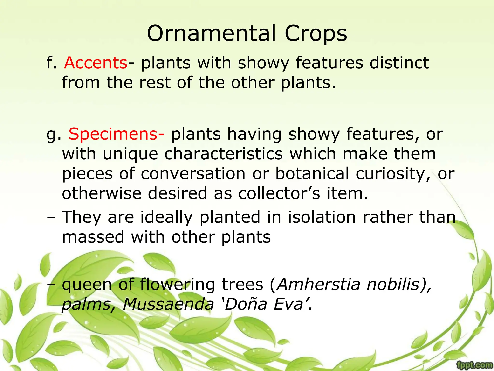 Ornamental Crops
f. Accents- plants with showy features distinct
from the rest of the other plants.
g. Specimens- plants having showy features, or
with unique characteristics which make them
pieces of conversation or botanical curiosity, or
otherwise desired as collector’s item.
– They are ideally planted in isolation rather than
massed with other plants
– queen of flowering trees (Amherstia nobilis),
palms, Mussaenda ‘Doña Eva’.
 