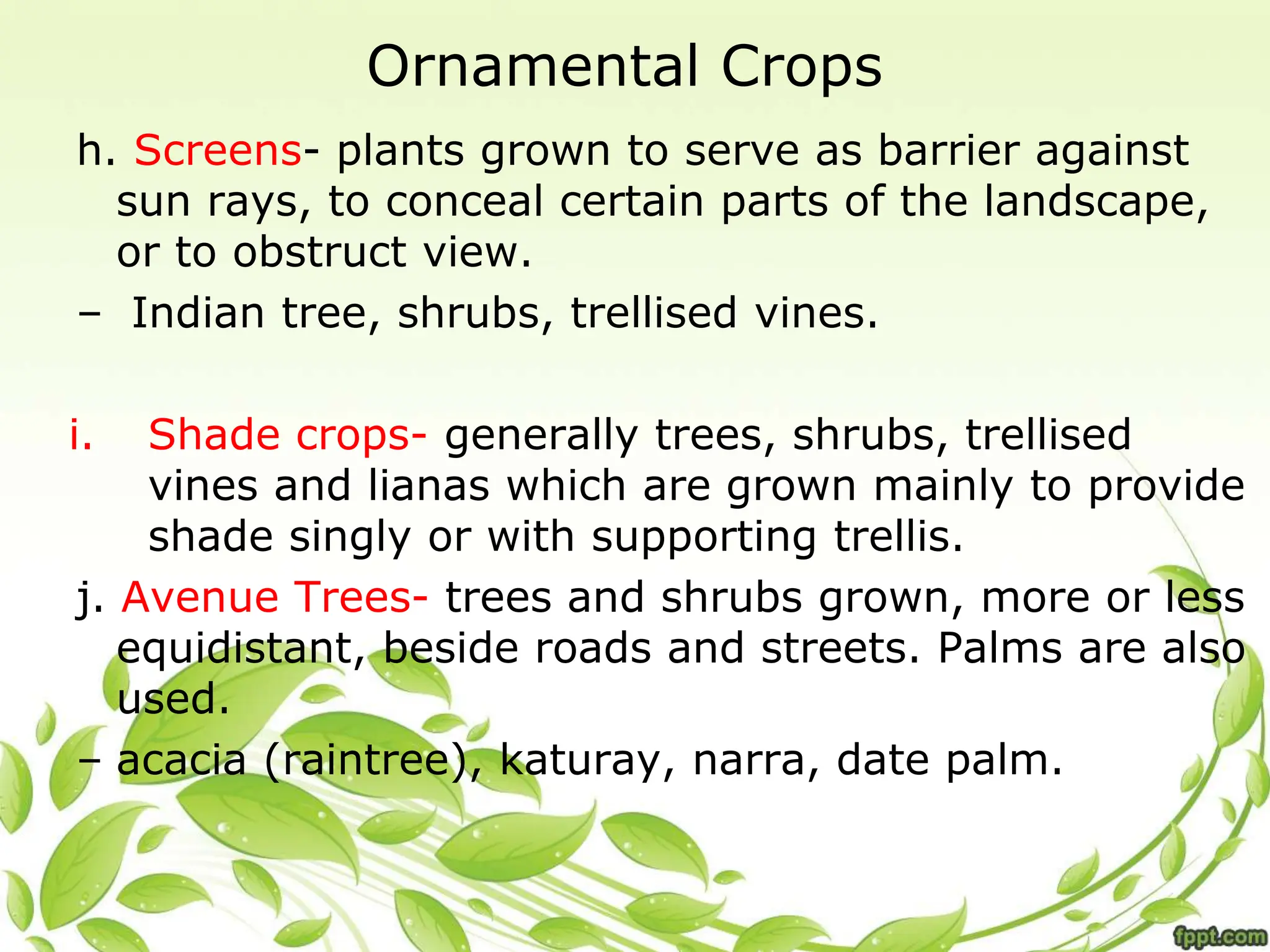 Ornamental Crops
h. Screens- plants grown to serve as barrier against
sun rays, to conceal certain parts of the landscape,
or to obstruct view.
– Indian tree, shrubs, trellised vines.
i. Shade crops- generally trees, shrubs, trellised
vines and lianas which are grown mainly to provide
shade singly or with supporting trellis.
j. Avenue Trees- trees and shrubs grown, more or less
equidistant, beside roads and streets. Palms are also
used.
– acacia (raintree), katuray, narra, date palm.
 