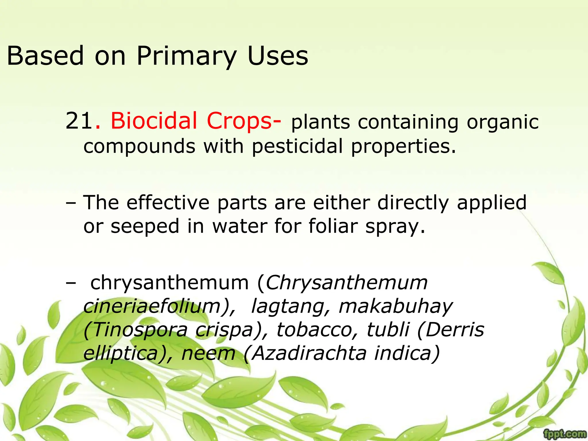 Based on Primary Uses
21. Biocidal Crops- plants containing organic
compounds with pesticidal properties.
– The effective parts are either directly applied
or seeped in water for foliar spray.
– chrysanthemum (Chrysanthemum
cineriaefolium), lagtang, makabuhay
(Tinospora crispa), tobacco, tubli (Derris
elliptica), neem (Azadirachta indica)
 