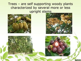 Classification of Agricultural Crops ppt | PPT