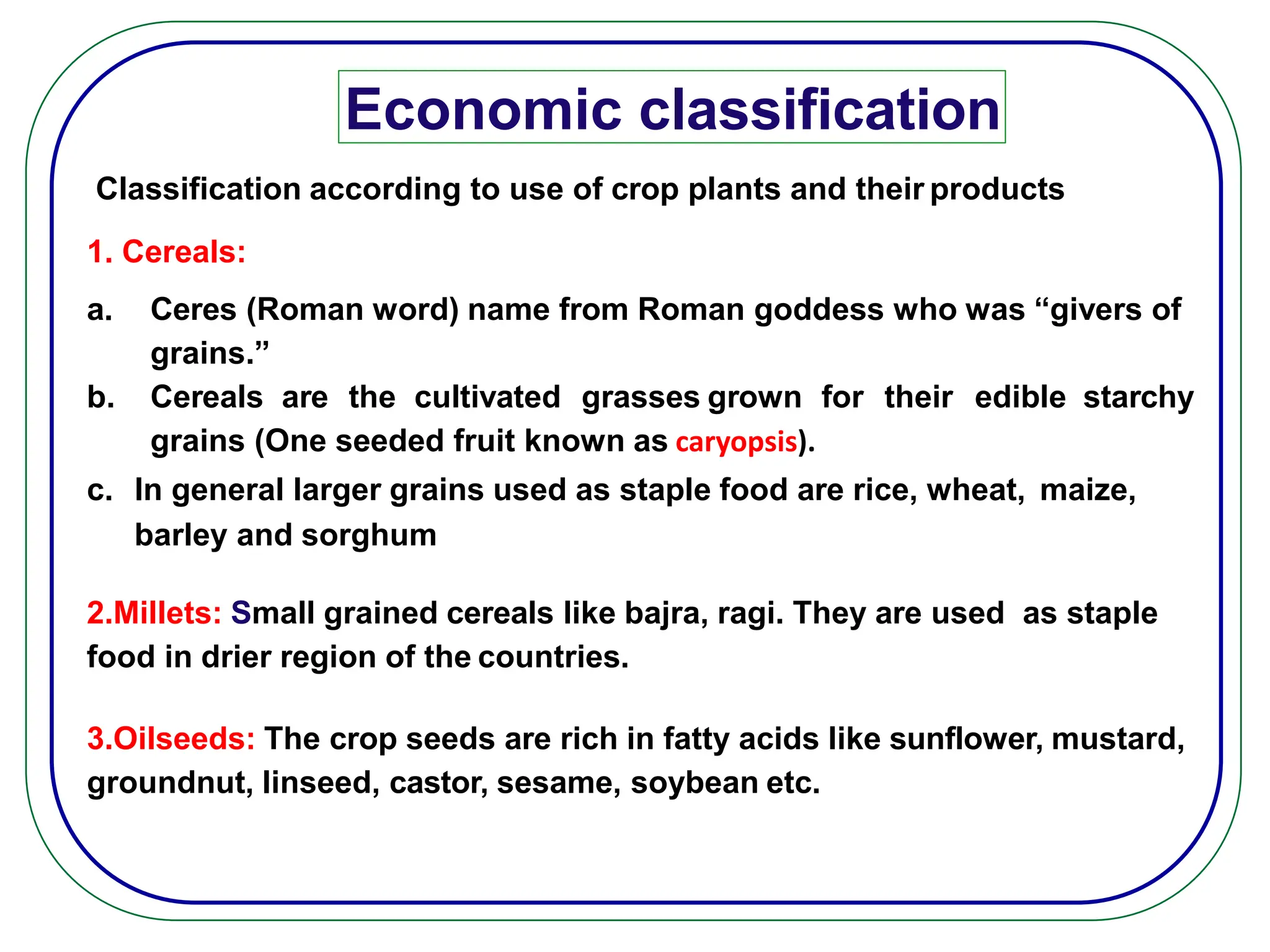 Economic classification
Classification according to use of crop plants and their products
1. Cereals:
a. Ceres (Roman word) name from Roman goddess who was “givers of
grains.”
b. Cereals are the cultivated grasses grown for their edible starchy
grains (One seeded fruit known as caryopsis).
c. In general larger grains used as staple food are rice, wheat, maize,
barley and sorghum
2.Millets: Small grained cereals like bajra, ragi. They are used as staple
food in drier region of the countries.
3.Oilseeds: The crop seeds are rich in fatty acids like sunflower, mustard,
groundnut, linseed, castor, sesame, soybean etc.
 