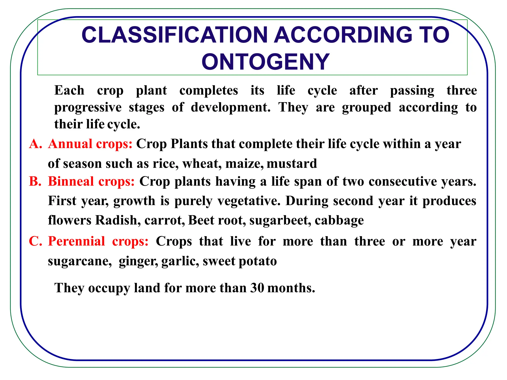 CLASSIFICATION ACCORDING TO
ONTOGENY
Each crop plant completes its life cycle after passing three
progressive stages of development. They are grouped according to
their life cycle.
A. Annual crops: Crop Plants that complete their life cycle within a year
of season such as rice, wheat, maize, mustard
B. Binneal crops: Crop plants having a life span of two consecutive years.
First year, growth is purely vegetative. During second year it produces
flowers Radish, carrot, Beet root, sugarbeet, cabbage
C. Perennial crops: Crops that live for more than three or more year
sugarcane, ginger, garlic, sweet potato
They occupy land for more than 30 months.
 