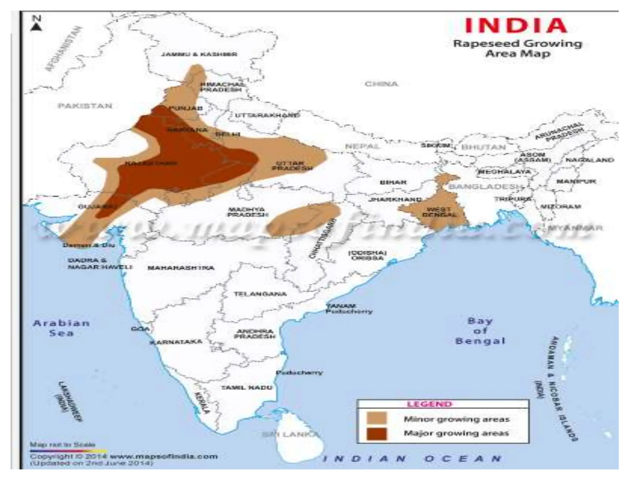 classificationofcrops 2019-20.pptx