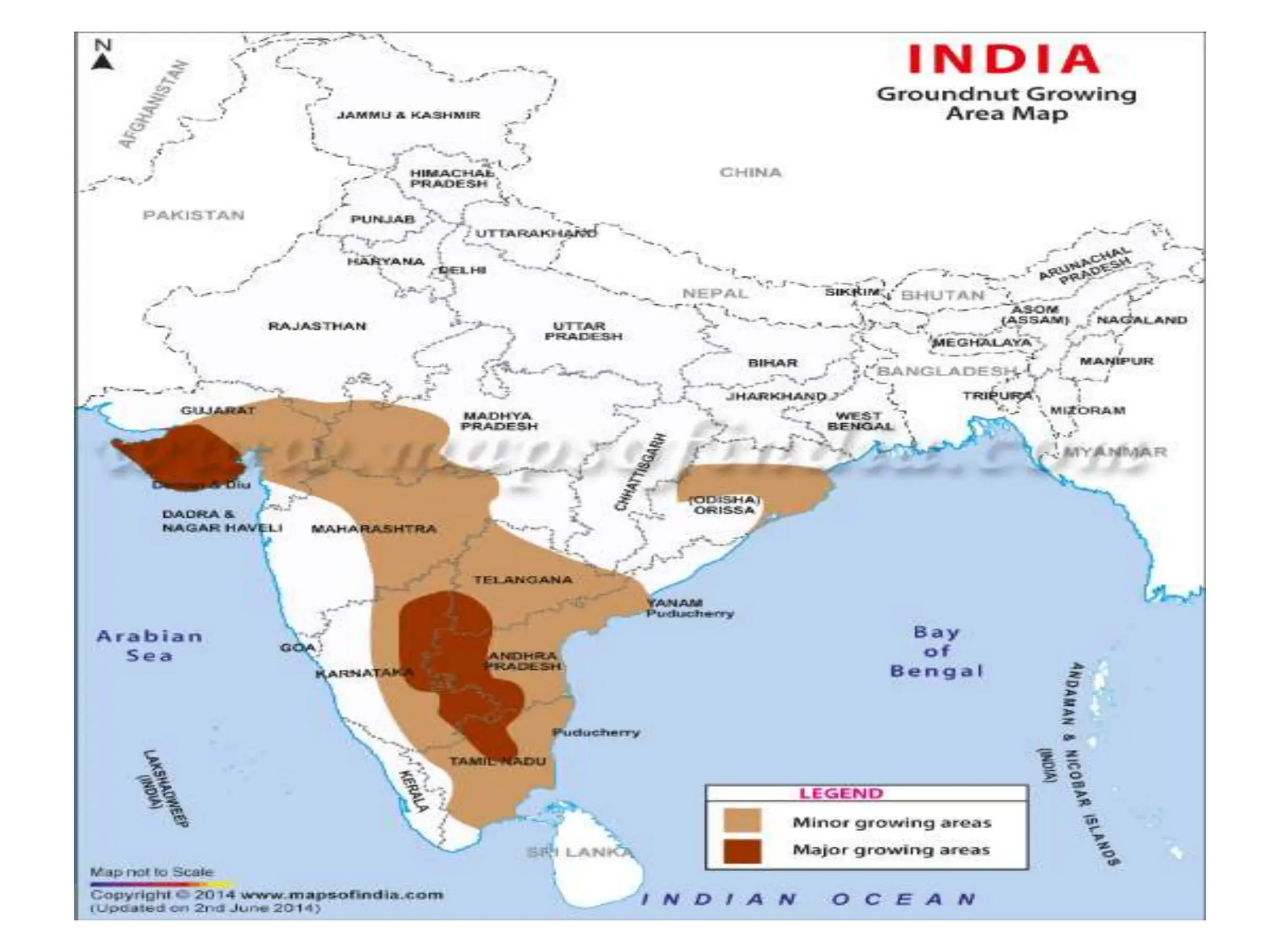 classificationofcrops 2019-20.pptx
