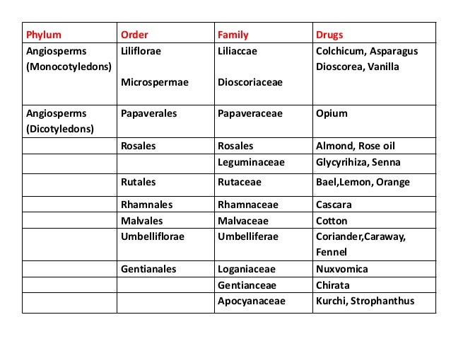 Classification Of Crude Drugs Serotaxonomy