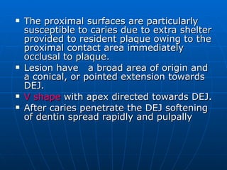 The proximal surfaces are particularly susceptible to caries due to extra shelter provided to resident plaque owing to the proximal contact area immediately occlusal to plaque. Lesion have  a broad area of origin and a conical, or pointed extension towards DEJ. V shape  with apex directed towards DEJ. After caries penetrate the DEJ softening of dentin spread rapidly and pulpally 