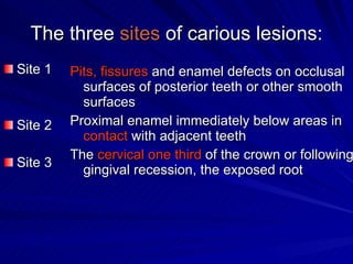 The three  sites  of carious lesions: Site 1 Site 2 Site 3 Pits, fissures  and enamel defects on occlusal surfaces of posterior teeth or other smooth surfaces Proximal enamel immediately below areas in  contact  with adjacent teeth The  cervical one third  of the crown or following gingival recession, the exposed root 