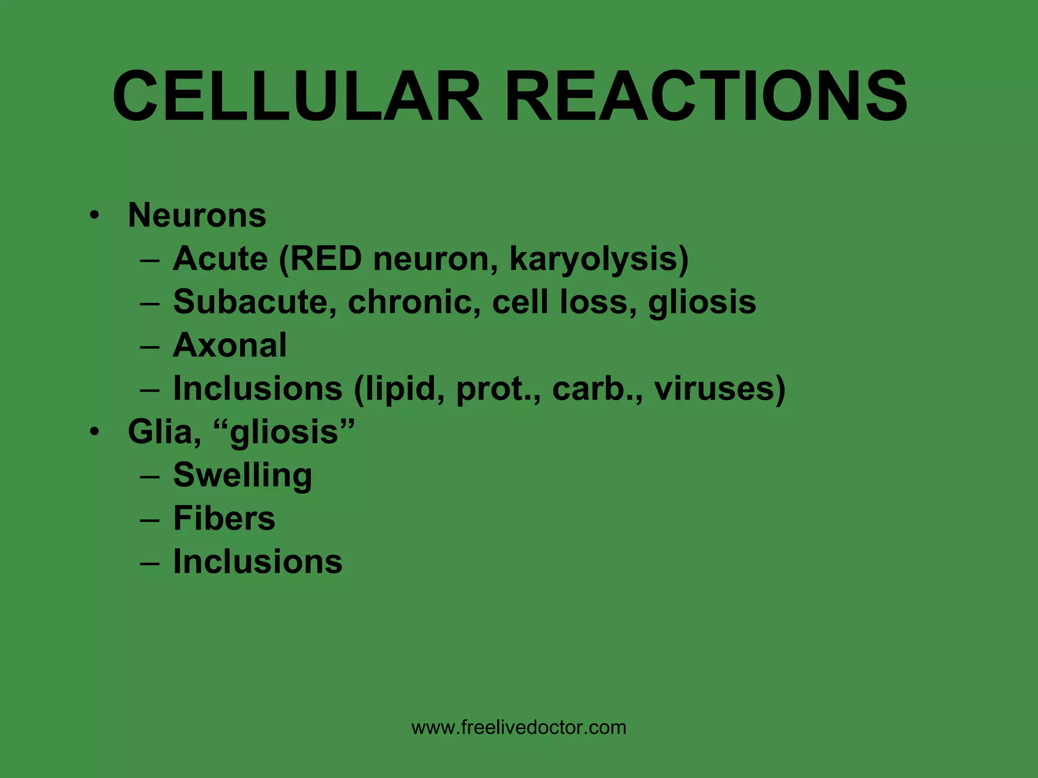 CELLULAR REACTIONS Neurons Acute (RED neuron, karyolysis) Subacute, chronic, cell loss, gliosis Axonal Inclusions (lipid, prot., carb., viruses) Glia, “gliosis” Swelling Fibers Inclusions www.freelivedoctor.com 