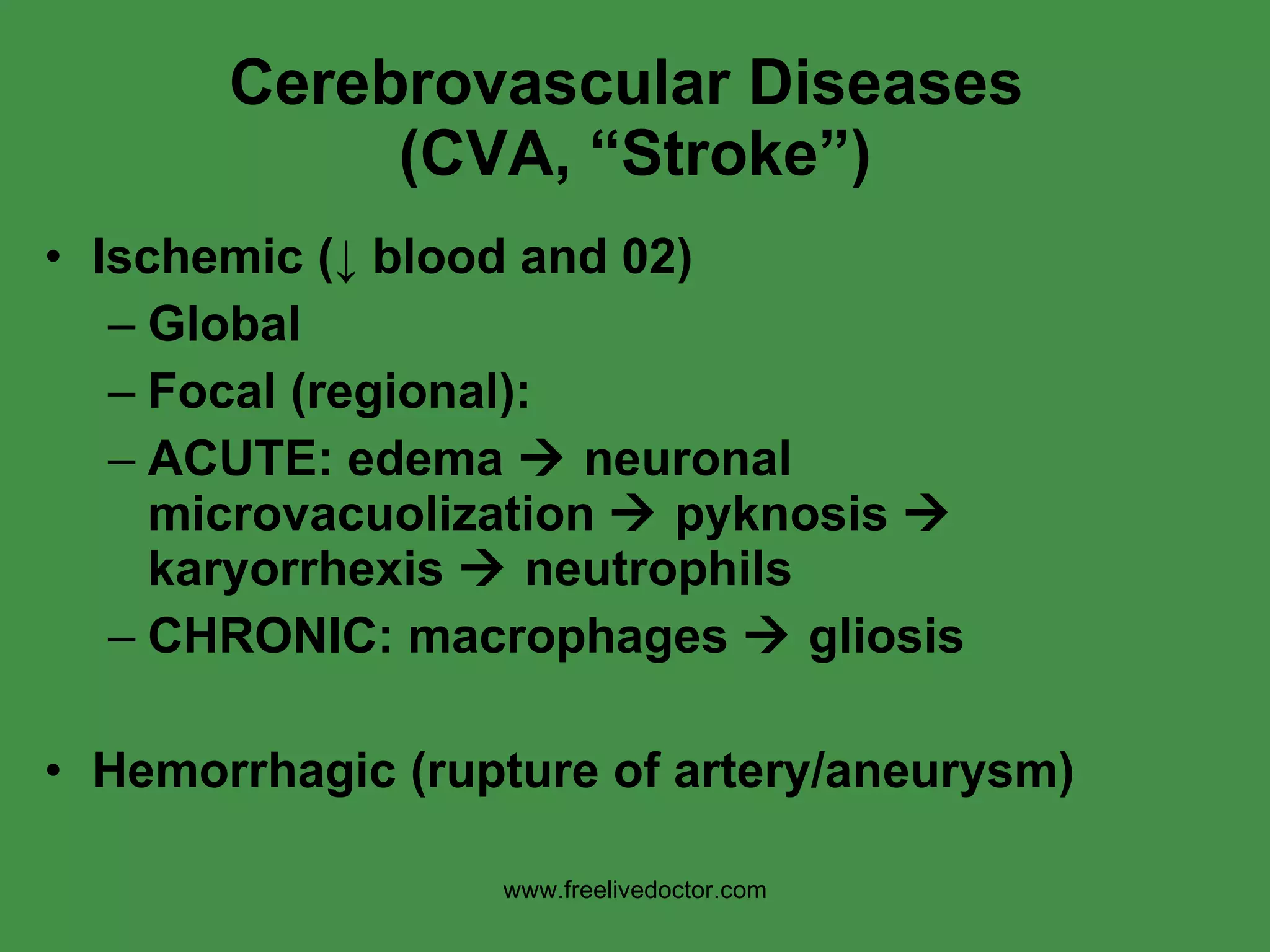 Cerebrovascular Diseases  (CVA, “Stroke”) Ischemic ( ↓ blood and 02) Global Focal (regional):  ACUTE: edema    neuronal microvacuolization    pyknosis    karyorrhexis    neutrophils CHRONIC: macrophages    gliosis Hemorrhagic (rupture of artery/aneurysm) www.freelivedoctor.com 