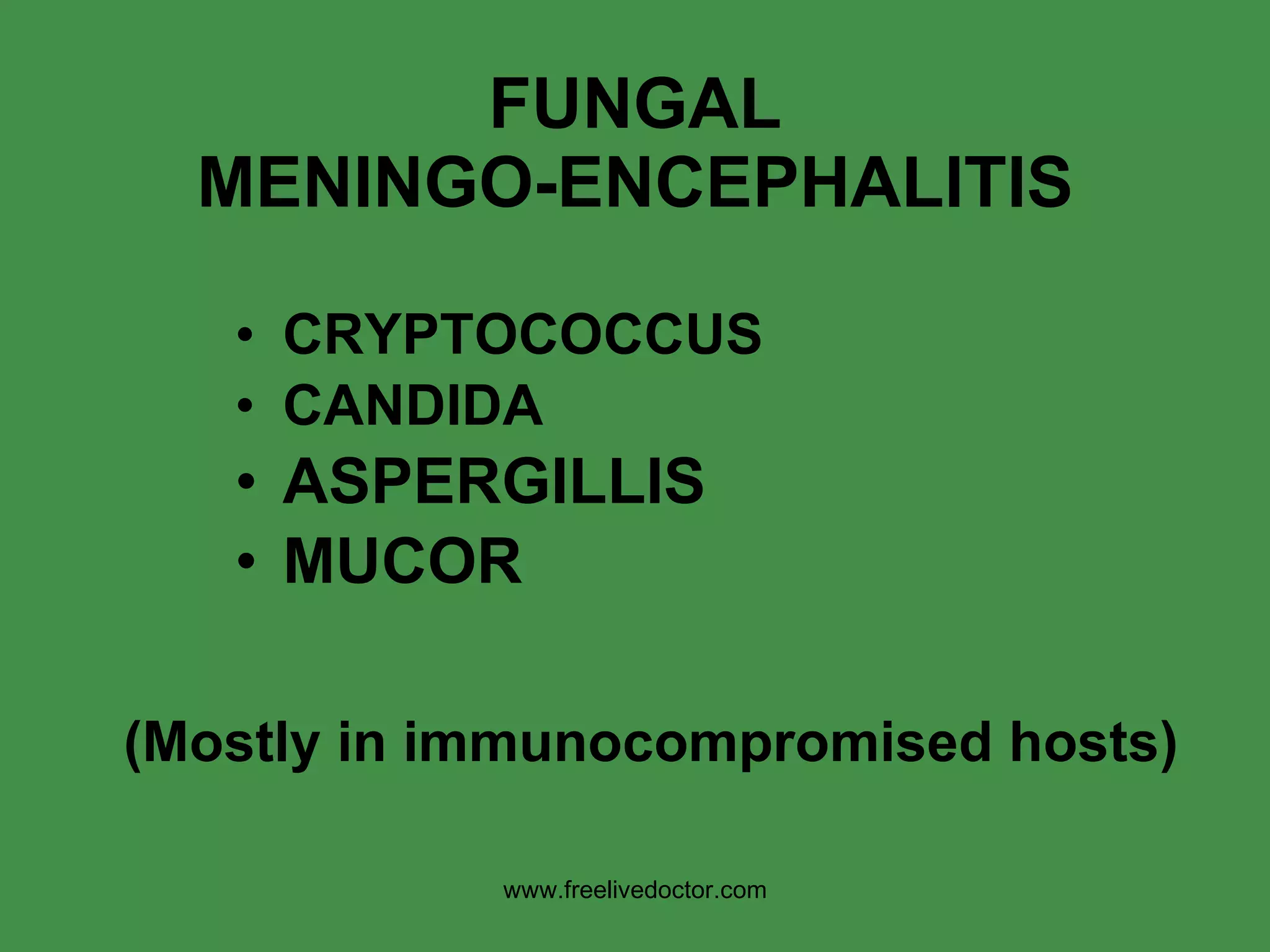 FUNGAL MENINGO-ENCEPHALITIS CRYPTOCOCCUS CANDIDA ASPERGILLIS MUCOR (Mostly in immunocompromised hosts) www.freelivedoctor.com 