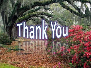 Classification of disseases