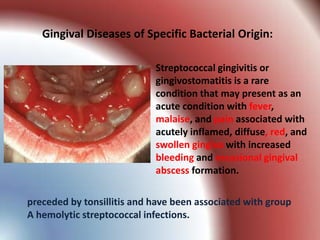 Gingival Diseases of Specific Bacterial Origin:

                            Streptococcal gingivitis or
                            gingivostomatitis is a rare
                            condition that may present as an
                            acute condition with fever,
                            malaise, and pain associated with
                            acutely inflamed, diffuse, red, and
                            swollen gingiva with increased
                            bleeding and occasional gingival
                            abscess formation.

preceded by tonsillitis and have been associated with group
A hemolytic streptococcal infections.
 