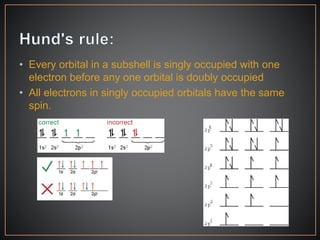 • Every orbital in a subshell is singly occupied with one
electron before any one orbital is doubly occupied
• All electrons in singly occupied orbitals have the same
spin.
 