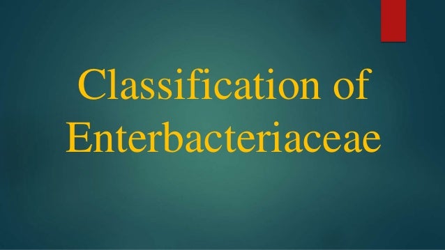 Classification of
Enterbacteriaceae
 