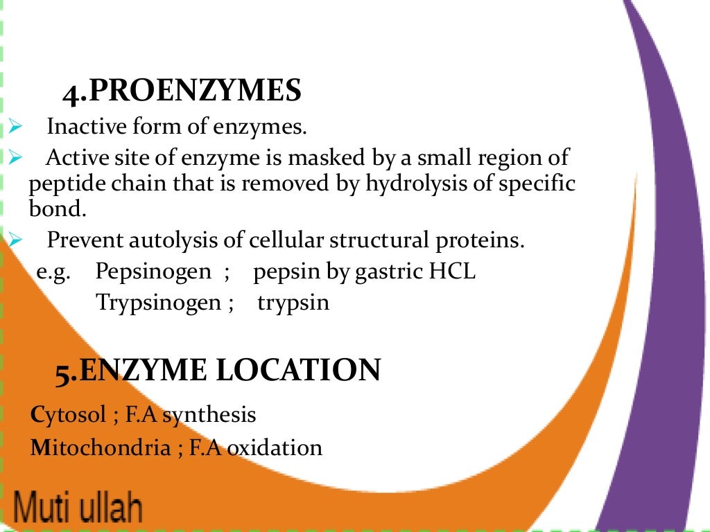 Classification of enzymes and properties of enzymes