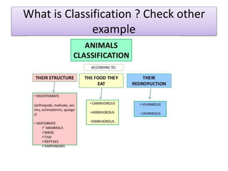 Classification of expenditure   recent changes 07.01.2021