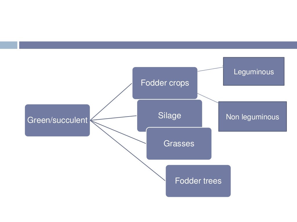 Classification of feed and forages