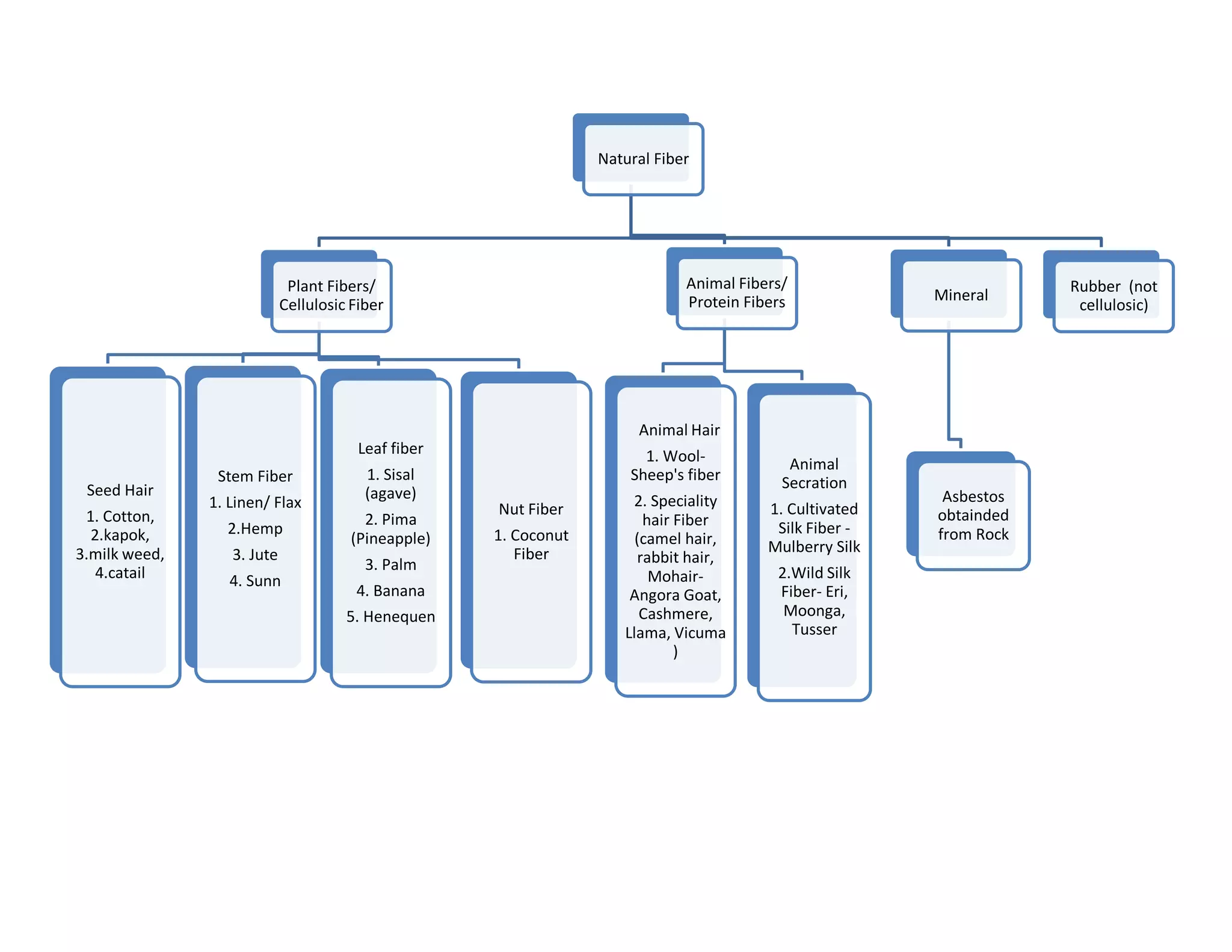 Natural Fiber
Plant Fibers/
Cellulosic Fiber
Seed Hair
1. Cotton,
2.kapok,
3.milk weed,
4.catail
Stem Fiber
1. Linen/ Flax
2.Hemp
3. Jute
4. Sunn
Leaf fiber
1. Sisal
(agave)
2. Pima
(Pineapple)
3. Palm
4. Banana
5. Henequen
Nut Fiber
1. Coconut
Fiber
Animal Fibers/
Protein Fibers
Animal Hair
1. Wool-
Sheep's fiber
2. Speciality
hair Fiber
(camel hair,
rabbit hair,
Mohair-
Angora Goat,
Cashmere,
Llama, Vicuma
)
Animal
Secration
1. Cultivated
Silk Fiber -
Mulberry Silk
2.Wild Silk
Fiber- Eri,
Moonga,
Tusser
Mineral
Asbestos
obtainded
from Rock
Rubber (not
cellulosic)
 