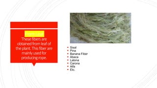 Classification of fibers