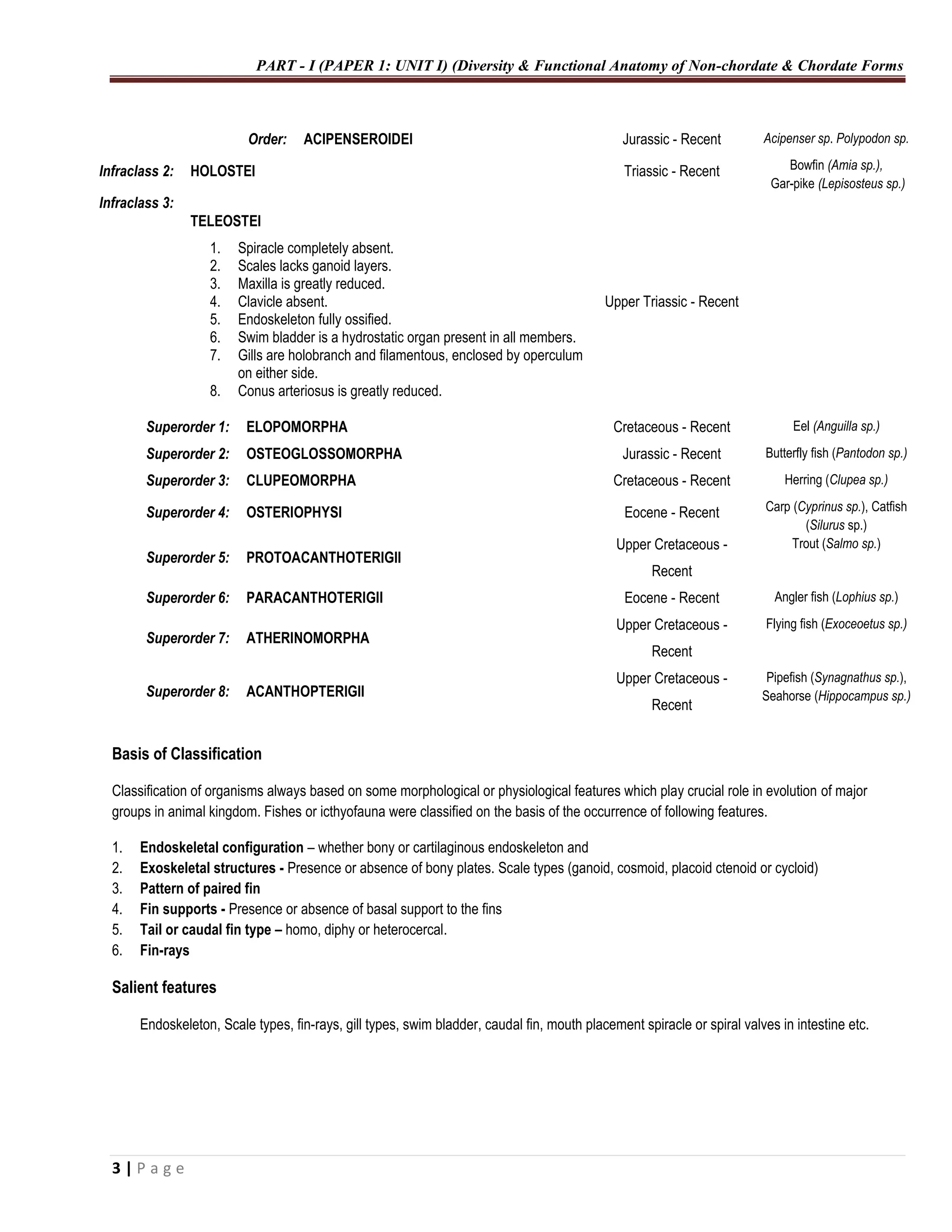 CLASSIFICATION OF FISHES in details all describe | PDF