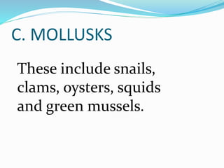 Clams Classification Classification of fish species | PPTX