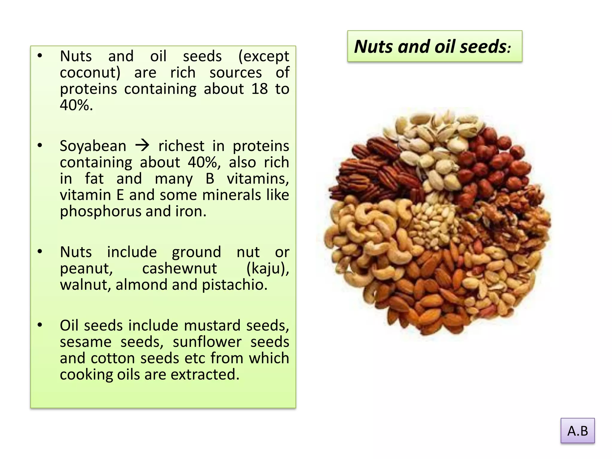 Nut Classifications Classification of foods | PDF