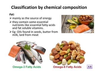 Classification of foods | PDF