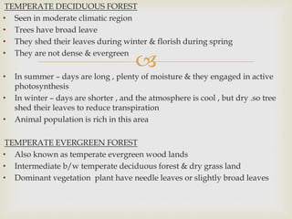 
TEMPERATE DECIDUOUS FOREST
• Seen in moderate climatic region
• Trees have broad leave
• They shed their leaves during winter & florish during spring
• They are not dense & evergreen
• In summer – days are long , plenty of moisture & they engaged in active
photosynthesis
• In winter – days are shorter , and the atmosphere is cool , but dry .so tree
shed their leaves to reduce transpiration
• Animal population is rich in this area
TEMPERATE EVERGREEN FOREST
• Also known as temperate evergreen wood lands
• Intermediate b/w temperate deciduous forest & dry grass land
• Dominant vegetation plant have needle leaves or slightly broad leaves
 